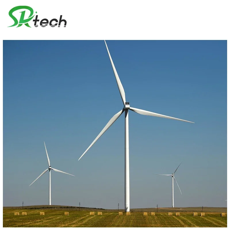 Extra Strong Performance Easy Installation 300W Wind Turbine Generator Wind Generator