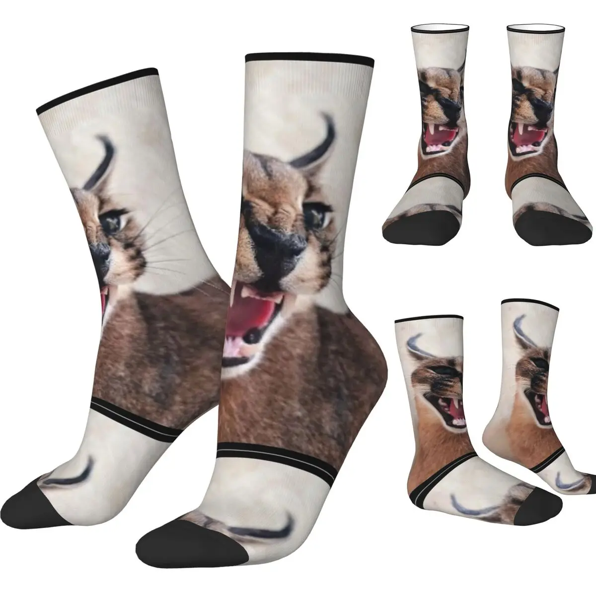 Big Floppa Animal Cats Socks Kawaii Stockings Autumn Non Slip Adults Men Socks High Quality Design Skateboard Socks