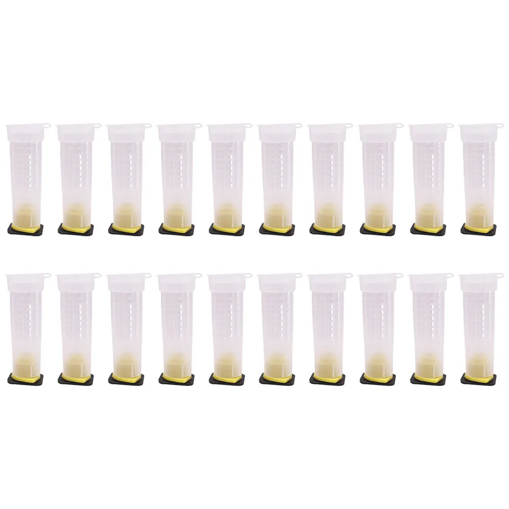 30Pcs Cage Plastic Shield Cover for Virgin Queen Catching Inspection Beekeeping Tool Small Lightweight Safe Non
