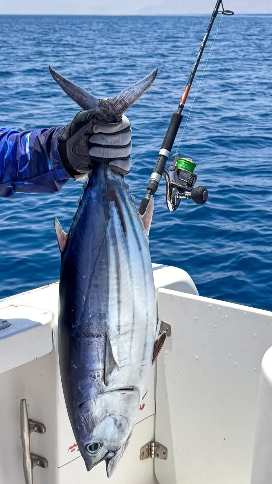 NOEBY Beast Reise-Jiggingrute 1,83m 3-teilig mit Fuji-Ringen, Toray Carbon, Spinnrute für Offshore-Großwildfischen – Detail 1
