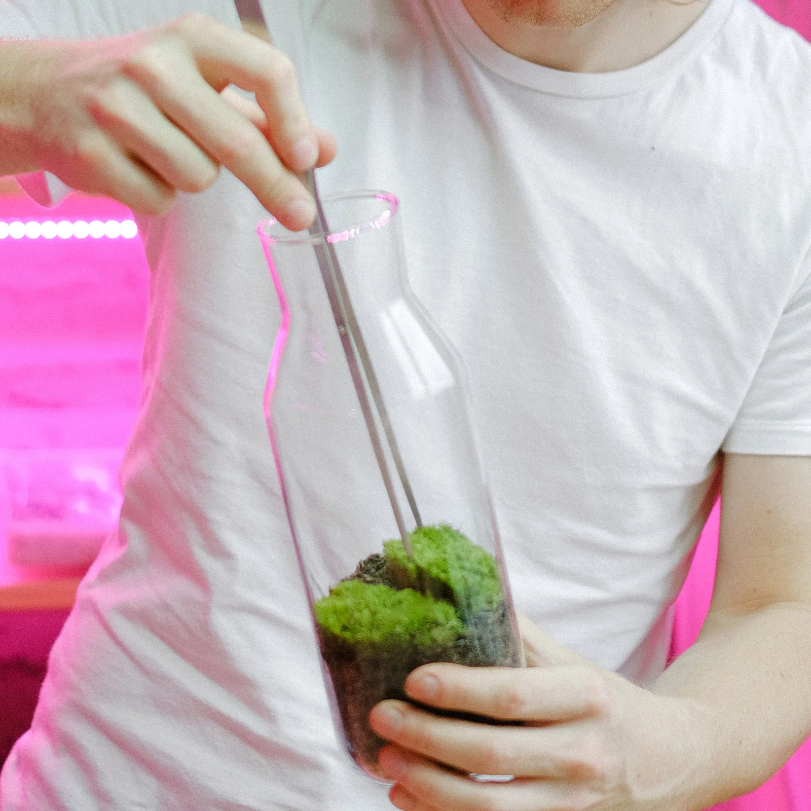 

4Pcs Miniature Green Artificial Grass Lifelike PVC Eco-Friendly Ornament Micro Landscape DIY Garden Mini House Craft