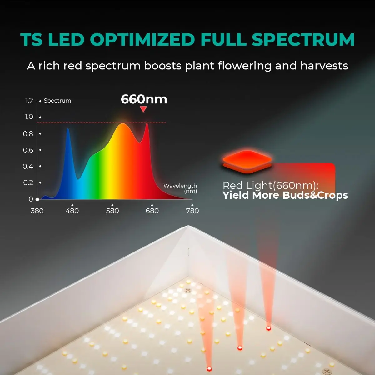 UpgradedMars Hydro TSW 2000 Led Grow Lamp Veg Flower Quantum Board Phytolamp Hydroponic Indoor Plants Lamp for Grow Tent Kits