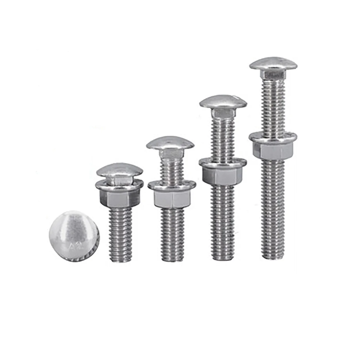304 Ss Round Square Neck Bolt And Nut/carriage Bolt And Nut Combination