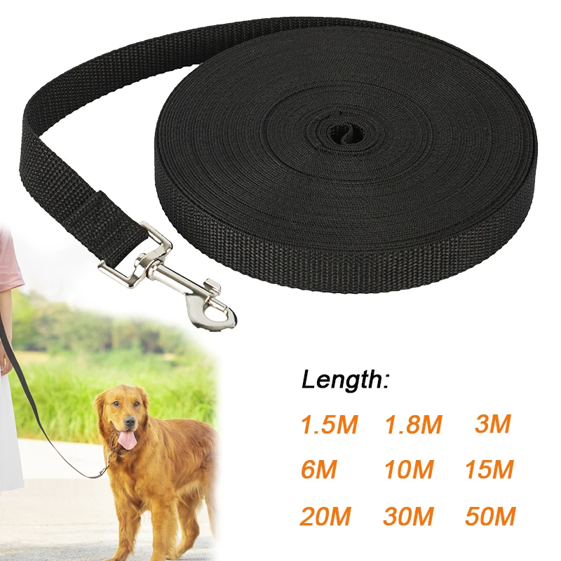 Nylon Dog Leash 1