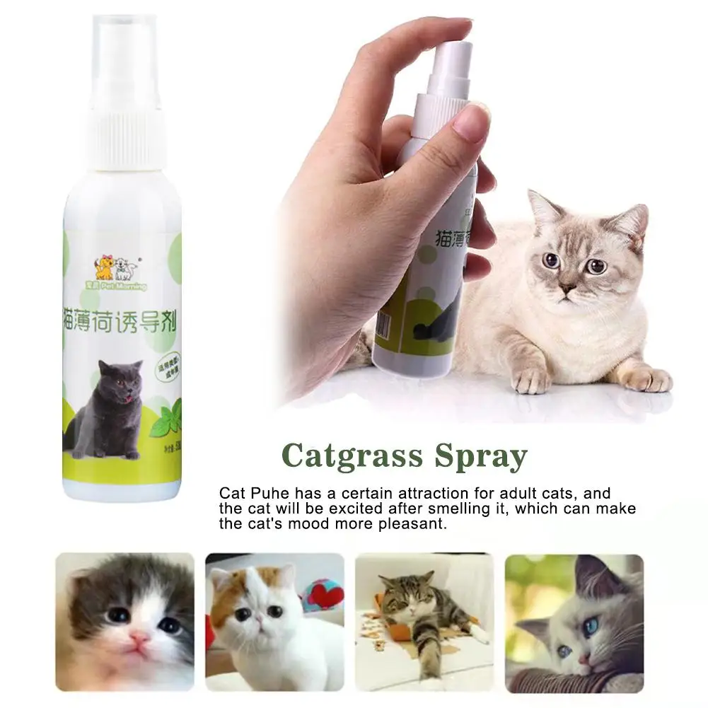 1pcs 50ml Cat Catnip Spray Natural Healthy Safe Long-term Inducer Training CatMint Scratching Pet Toy Pad Cat Effect A5M8