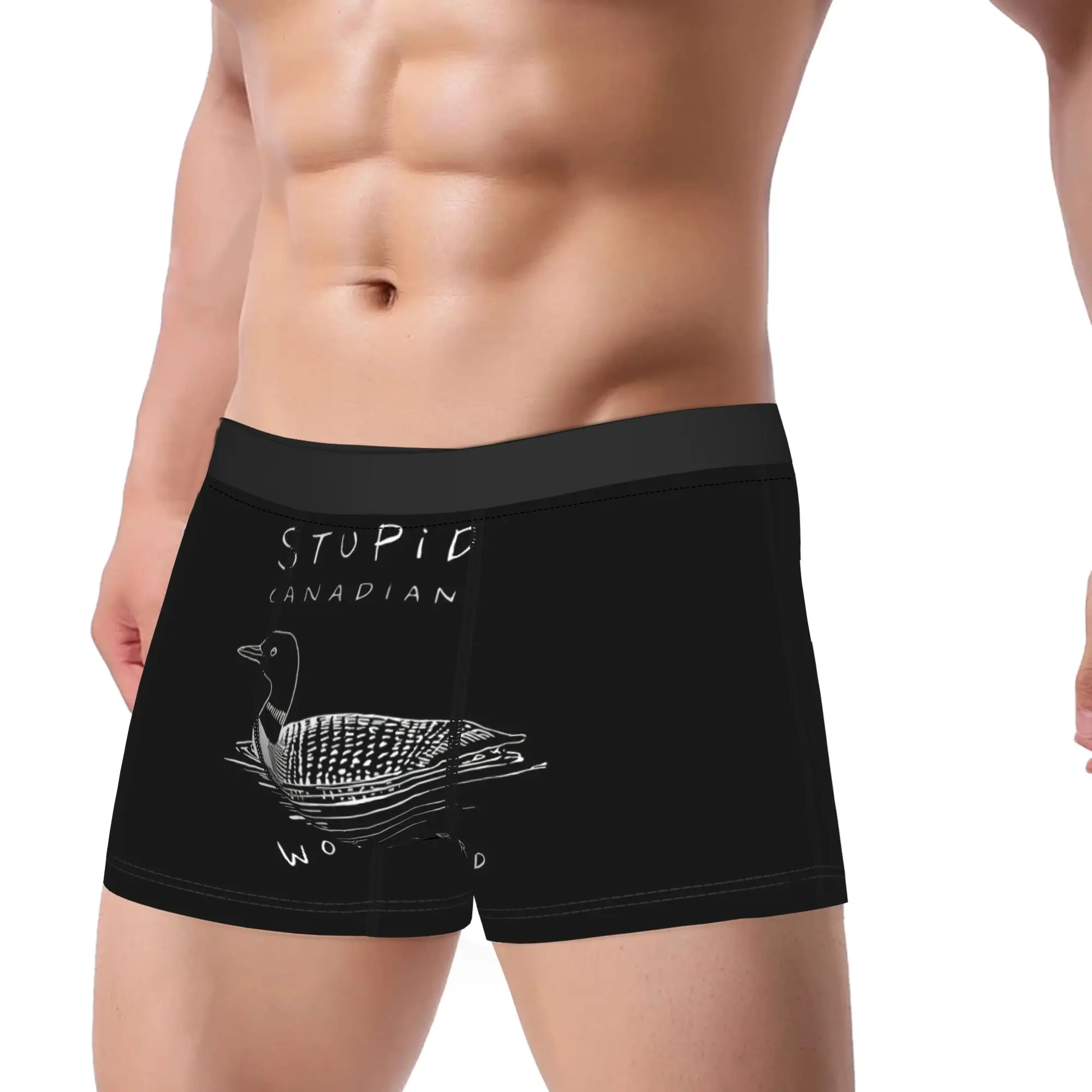 

Мужские трусы-боксеры с принтом «Глупый канадский волк-птица», дышащие, новинка, большие размеры