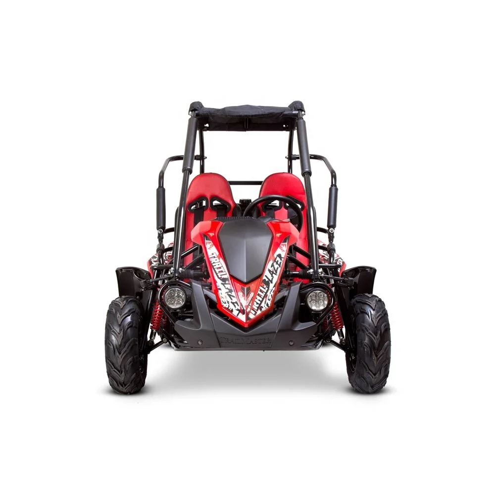 Tao Motor 200cc Motor 125cc Automatic Hyper Go H14bm 1/14 Brushless Rc Cars for Adults F Mini Car 150 Cc 36V Buggy 150cc 10inch view 6