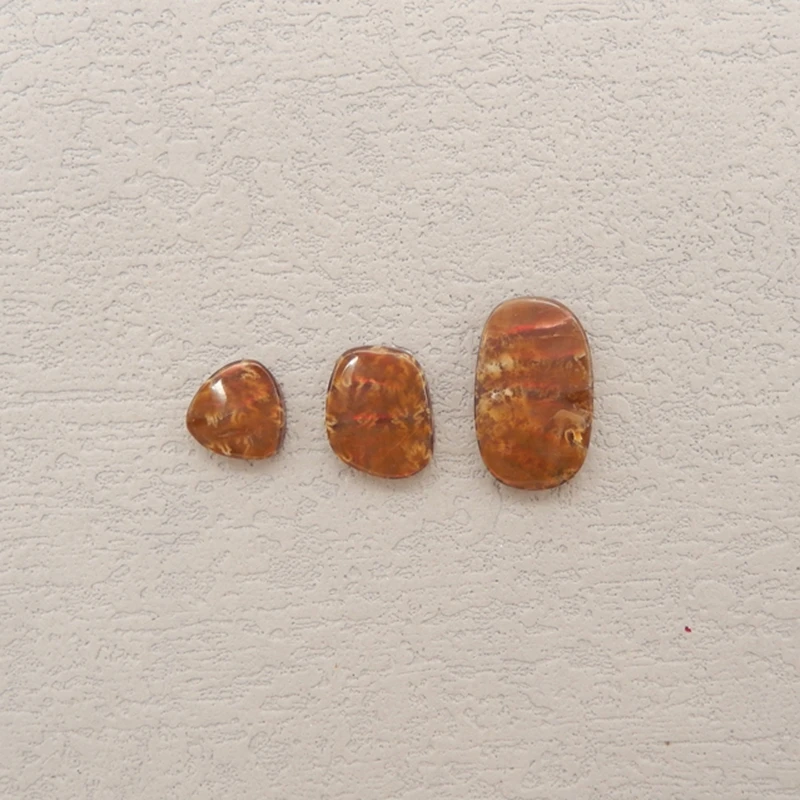 3PCS Assorted Shapes Polished Ammonite Stones Earthy Patterned Gemstone Jewelry Components for Crafting 19x11x3mm-2.9g
