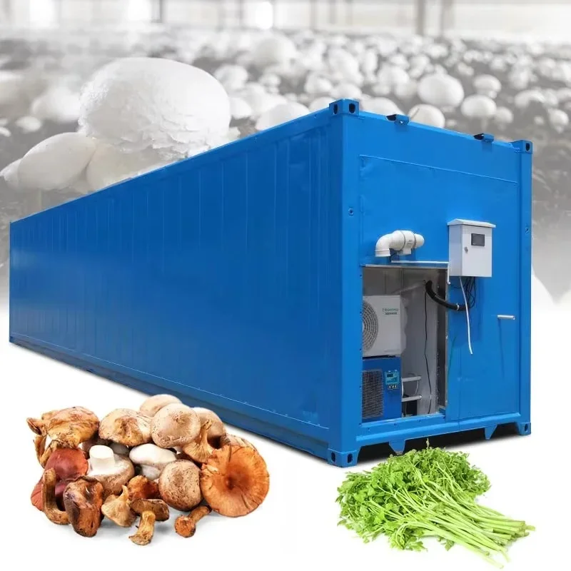 Customized Solar Powered Shipping Container Farm Vertical Aeroponic Hydroponic System For Commercial Lettuce Mushroom