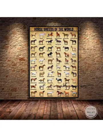 Vintage Horse Knowledge Horse Breeds of The World  Aniaml Art Poster Canvas Painting Wall Prints Picture Living Room Home Decor