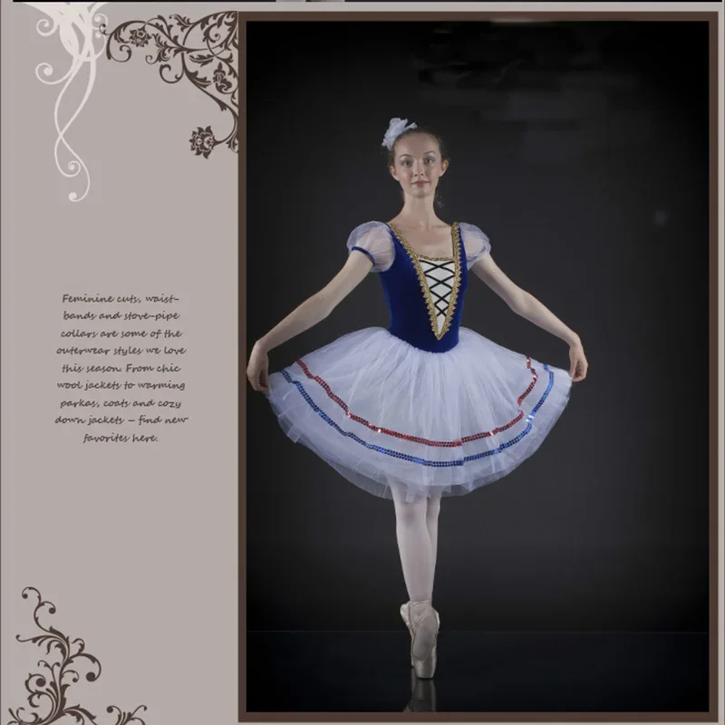 Adult Swan Lake Dance Clothing Apparel Woman Ballet Skirt Adult Professional Picture Ballet Dress Blue