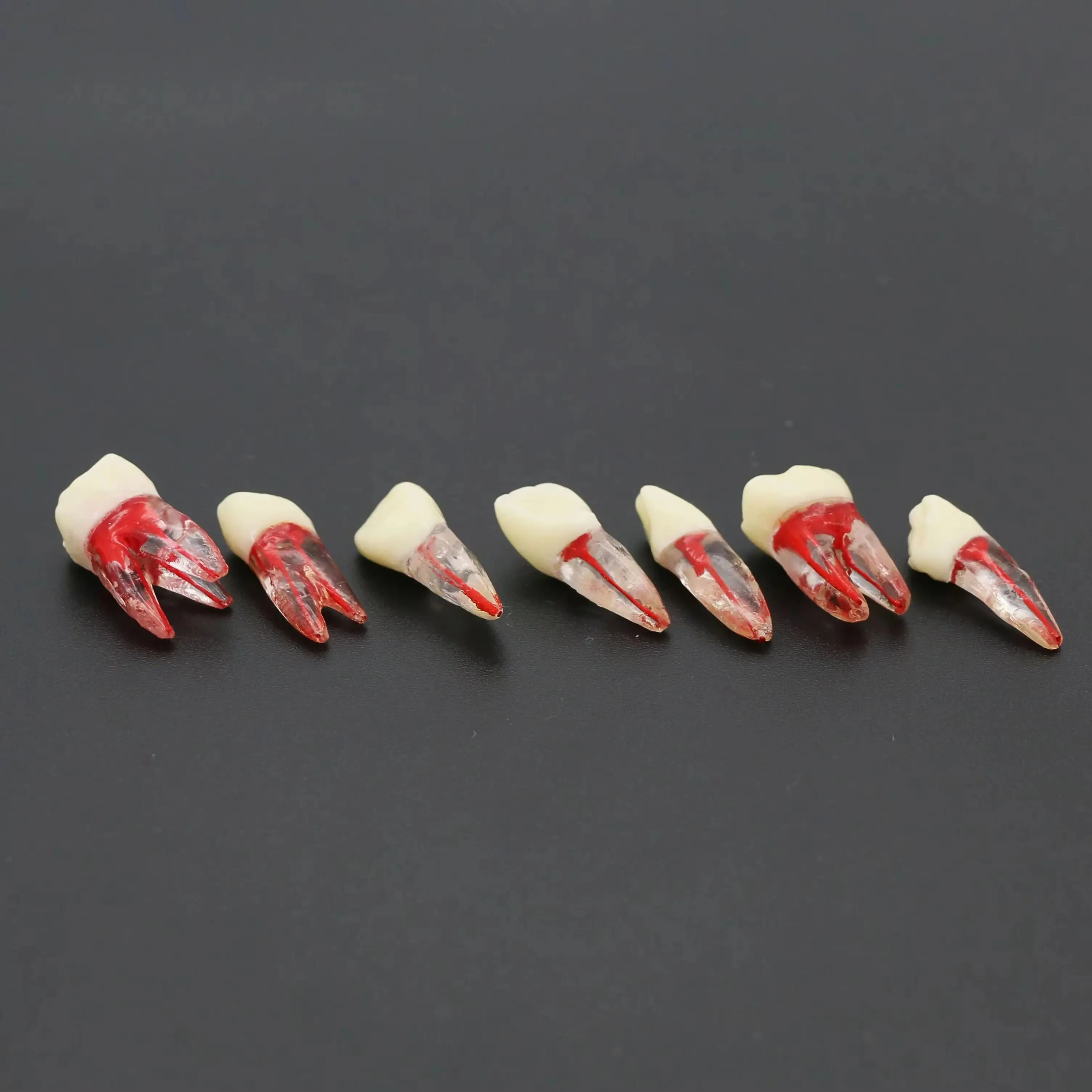 

Стоматологическая эндодонтическая практика корневых каналов RCT, эндодонтическая модель зуба, исследование из целлюлозы M8007