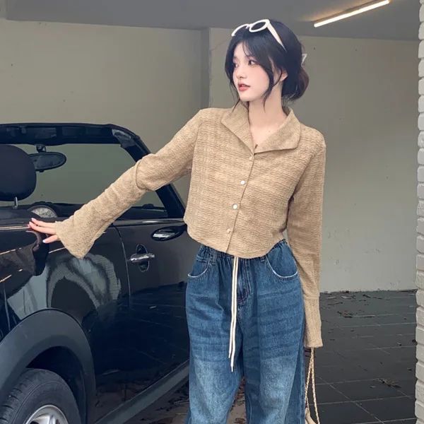 

Long Sleeve Shirts Womens Satin Button Down Slim Fit Turn Collar French Feminine Romantic Elegant Preppy Spring Look