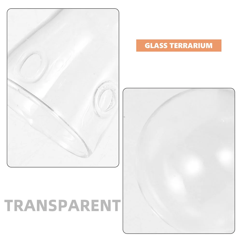 

2 Pcs Desktop Glass Planter Vase Holder Rose Decoration Creative Hydroponic Transparent Flower
