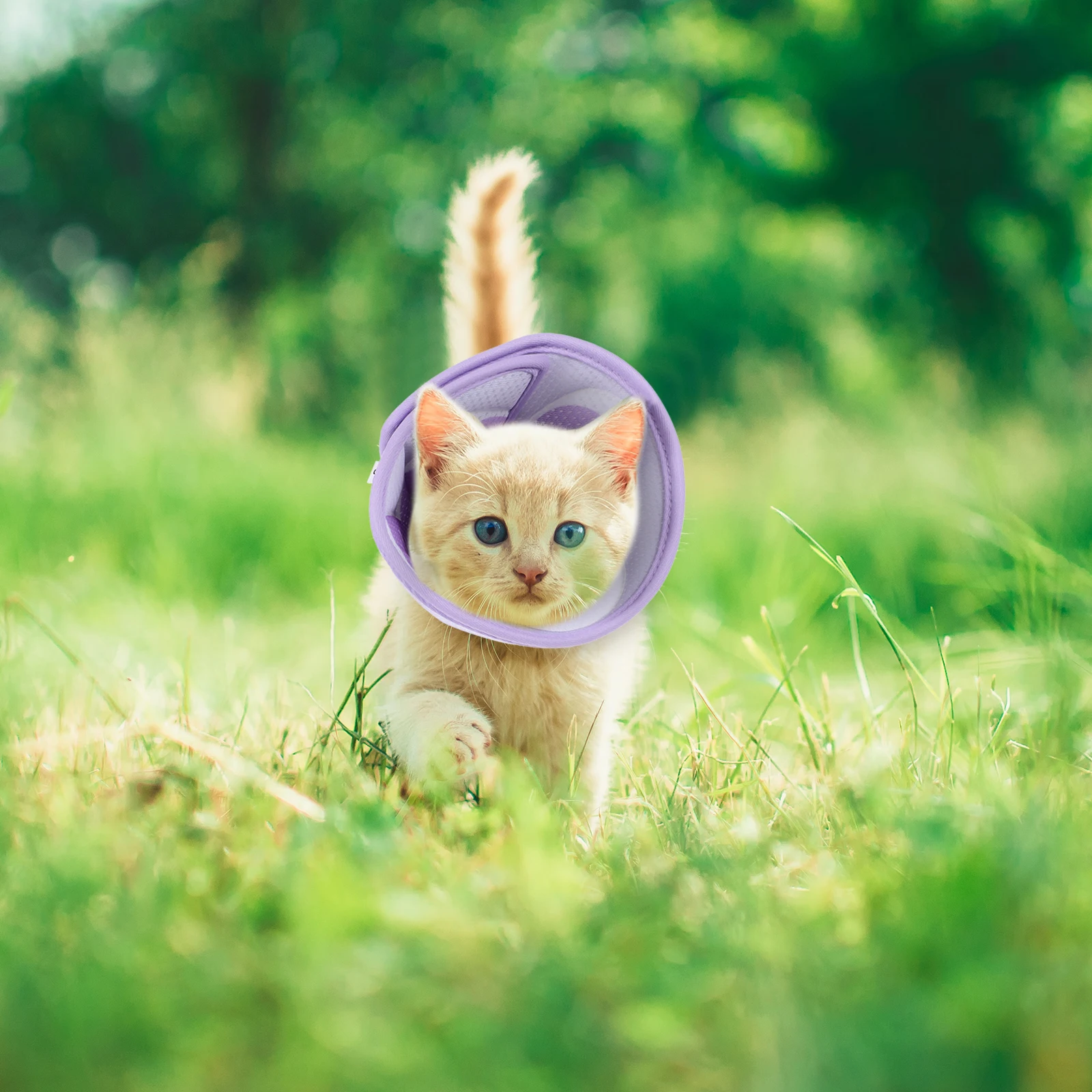 

Adjustable Anti-Lick Breathable Pet Collar For Cat Dog Recovery After Surgery Protective Cone Collar Lightweight Neck Cone