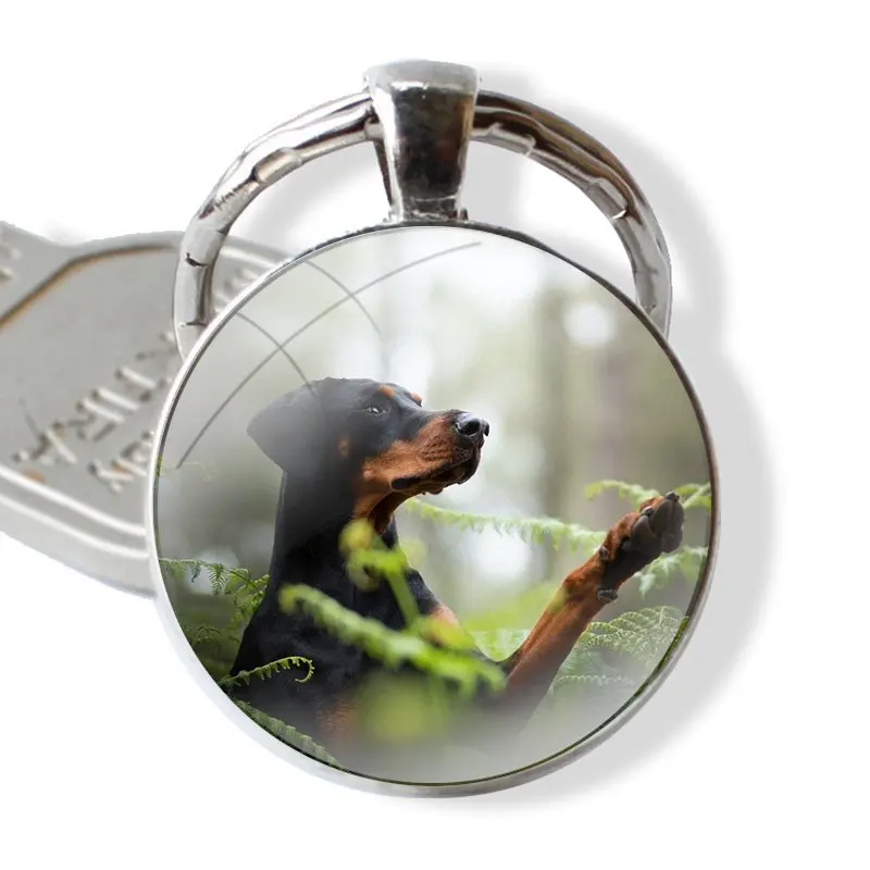 Keychain Glass Cabochon Metal Pendant Classic Men's Women's Keyring Animal Dachshund Doberman dog