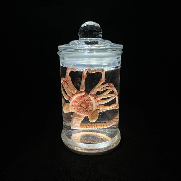 エイリアン瓶xenomorph標本facehugger胚ガラス瓶映画プロップ