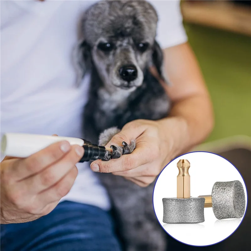 Têtes de rechange pour broyeur à ongles pour chien, A47F-4Pcs, compatibles avec Casfuy, pointes en diamant, foret, roues de rechange pour ongles d'animaux de compagnie, coupe-ongles