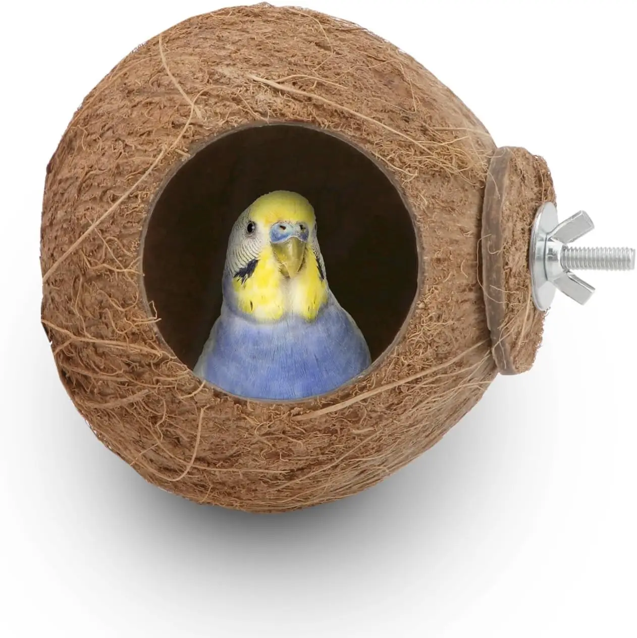 

Natural Coconut Bird Nest Swing Toy for Parrots, Finches, and Hamsters - Safe Hanging Perch