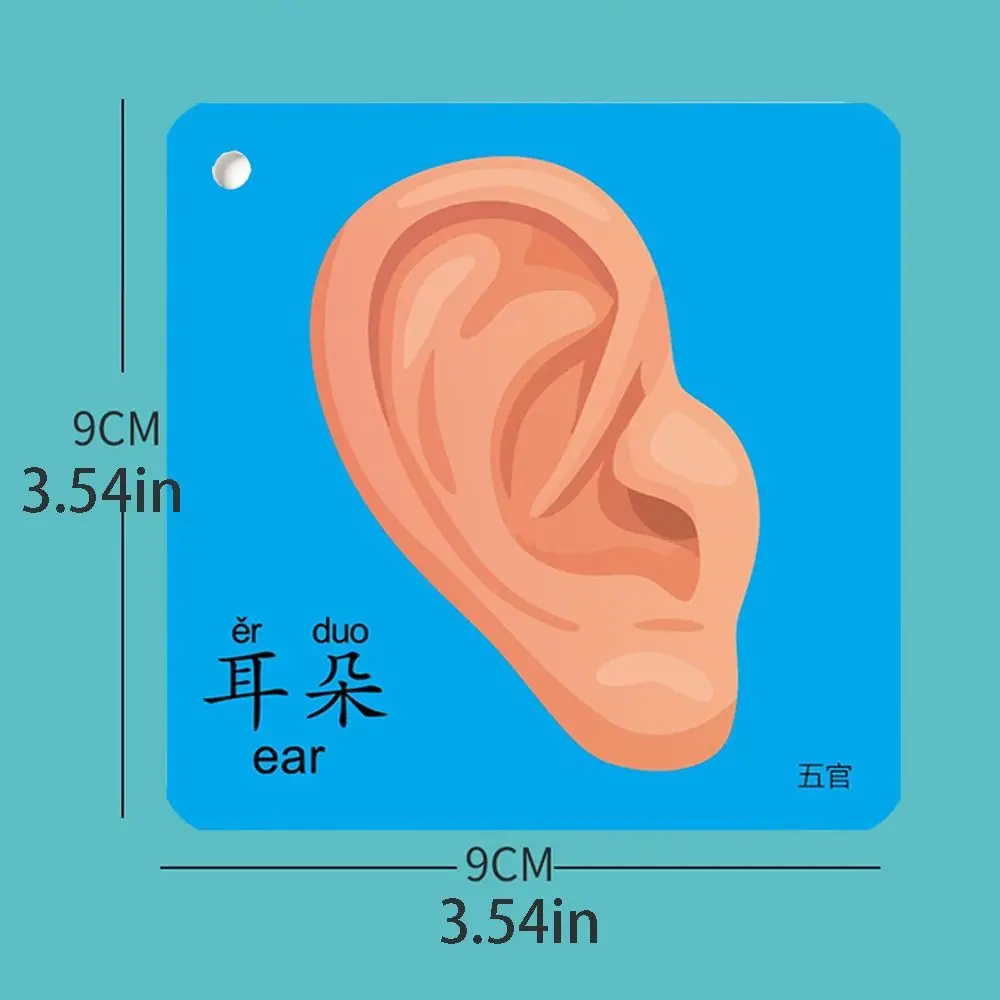 어린이 수학 장난감 편지 단어 포켓 카드 아기 학습 카드 몬테소리 교육 장난감 번호 플래시 카드 어린이인지 카드