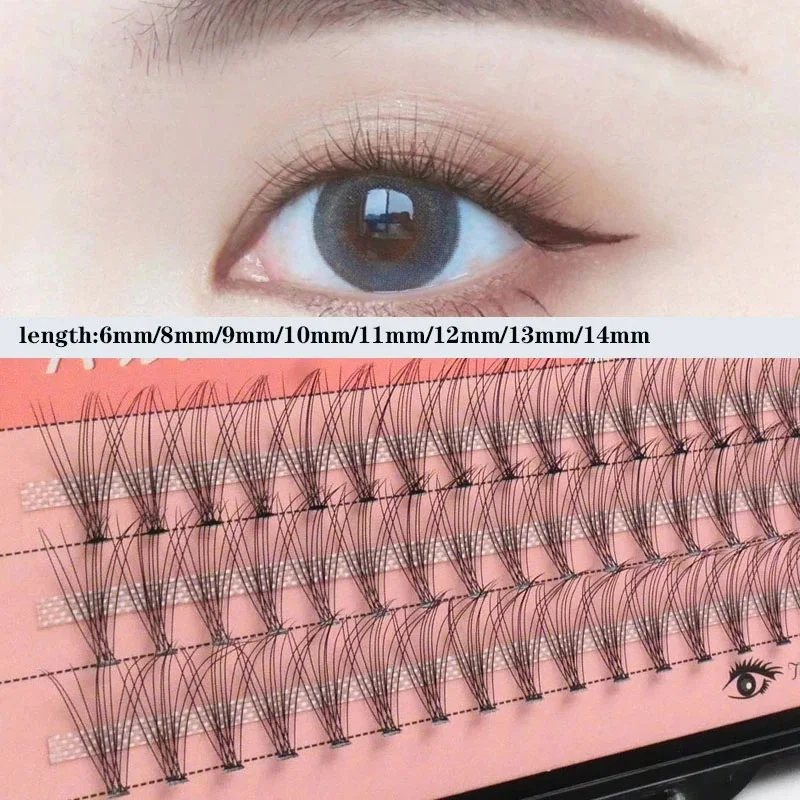 Anlinnet 60 clusters/box independent lashes10d natural false eyelash bundle, single eyelash extension cluster eyelashes