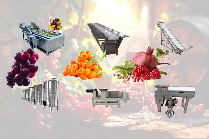 China Factory Grape Fruit Processing Line Stemming Crushing Press Machine for Grape Wine Fermentation Processing