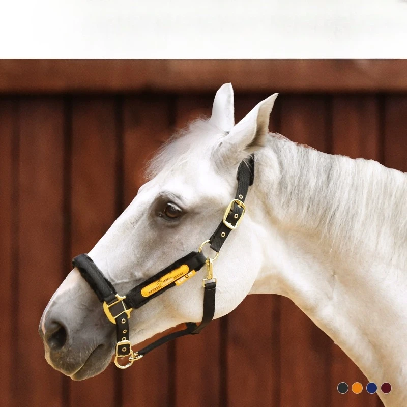 

Cavassion protective bridle imitation wool bridle, equestrian riding supplies and equipment, Lodge harness