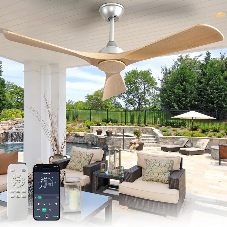 Ceiling Fan Without…