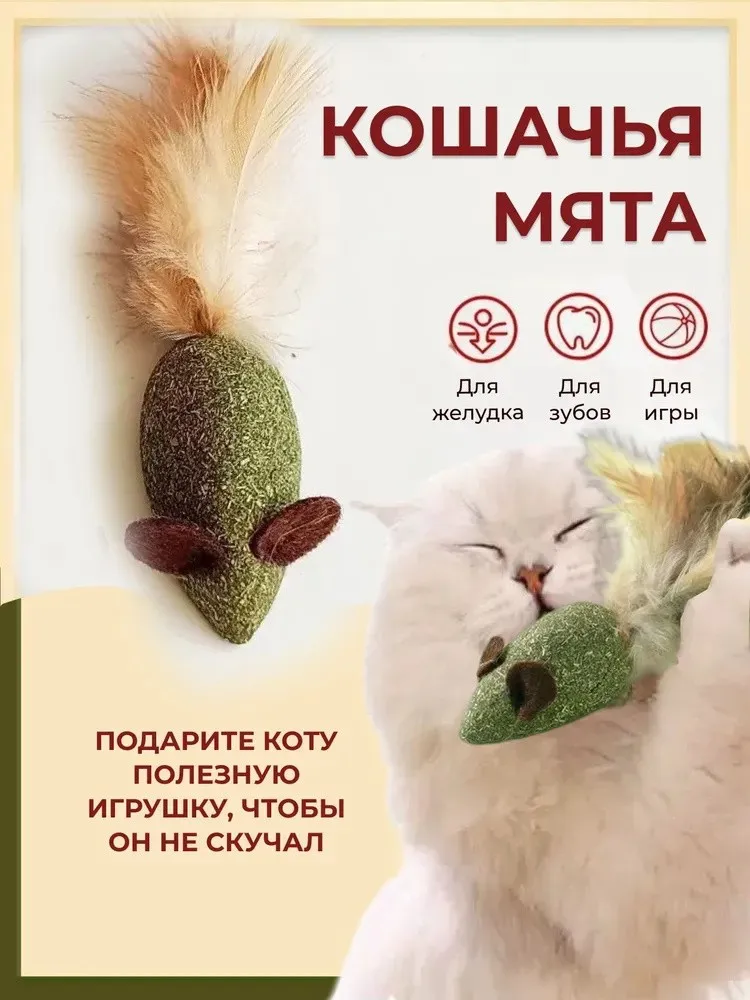 Piłka z kocimiętką, piłka z piórkiem i kocimiętką, winogronowa kocimiętka, narzędzia do czyszczenia i ścierania zębów, przybory do żelaza dla zwierząt, artykuły dla kotów, zabawa dla samodzielnych.