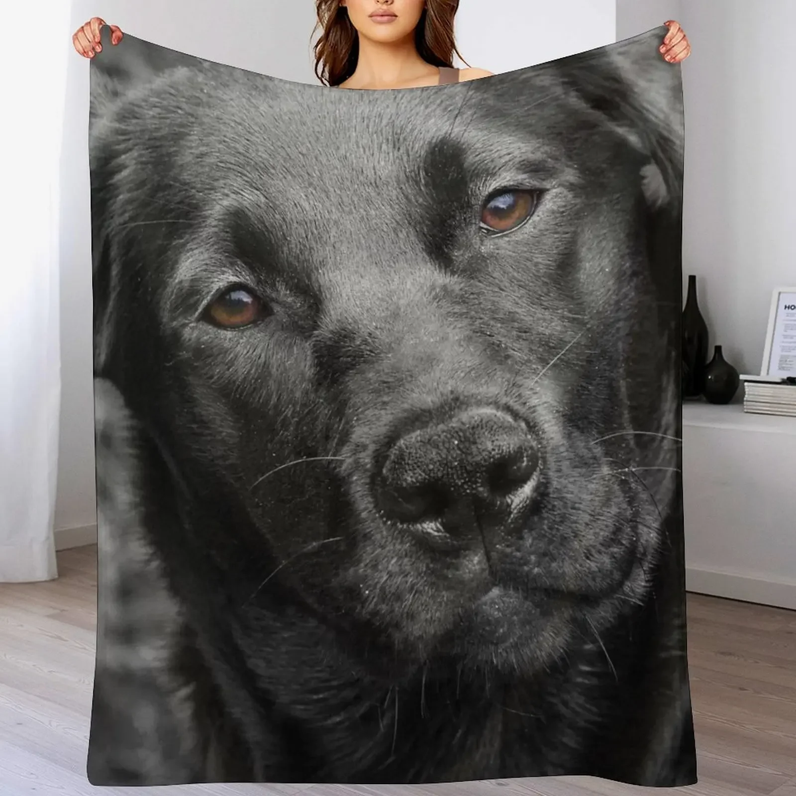 

Black Labrador dog Throw Blanket Cozy Microfiber Throw Blanket for Home Bedroom