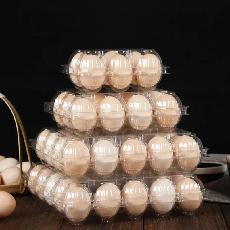 

44mm Plastic Egg Tray Disposable Clear Thic Multiple Sizes Egg Anti Fall Measures Package Box Portable Storage Protection Tray