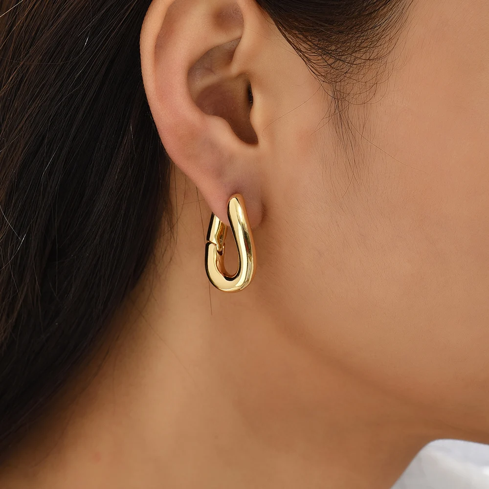 Minimalist Gold Plated Twisted Figaro Circle Round Shape Huggies Earring for Women Punk Glossy Metal Hinged Back Hoop Earrings