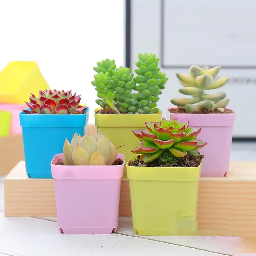 10pcs/set Nursery Pots Flower Pot Mini Plant Basin Succulent Planters Tray For Home Office Decor DIY Plant Growing Container