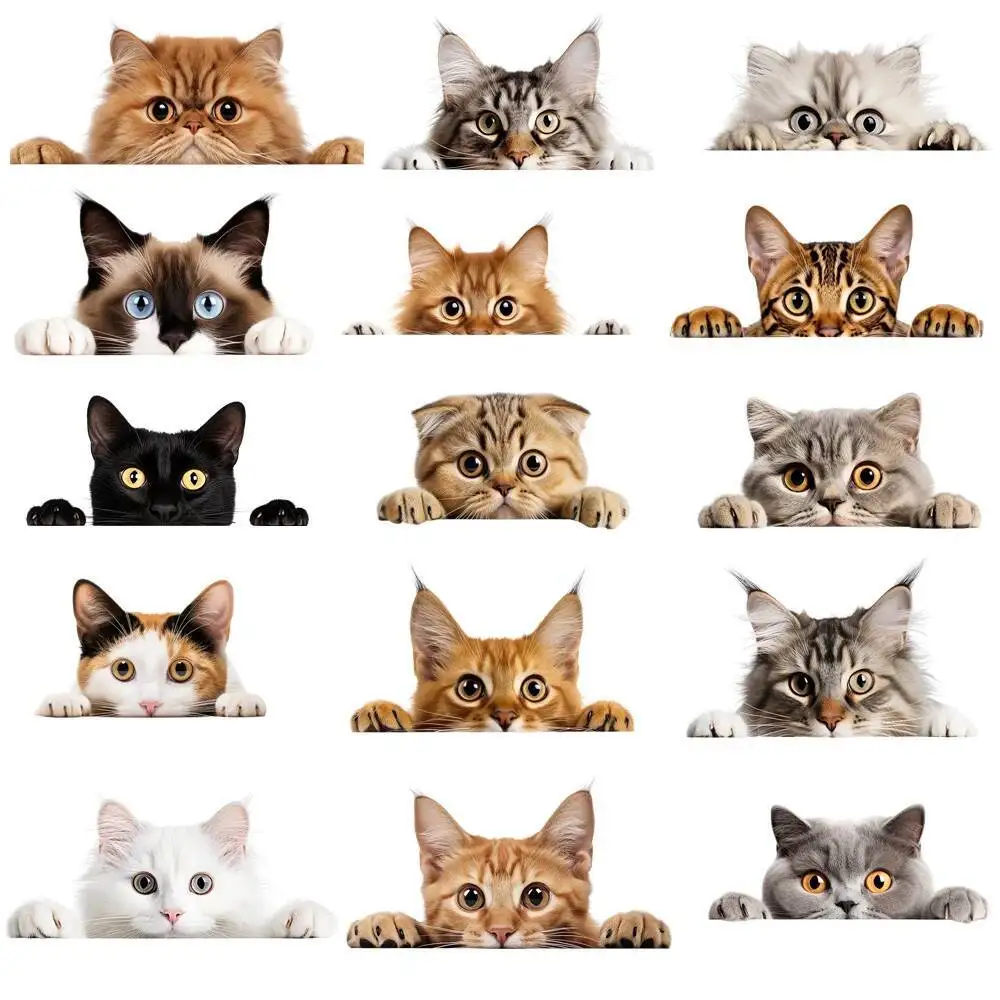 15cm Kids Hide-and-seek Cat Iron On Heat Transfer Sticker For Clothes Pinted Vinyl Thermal Appliques Washable T-Shirt Decal