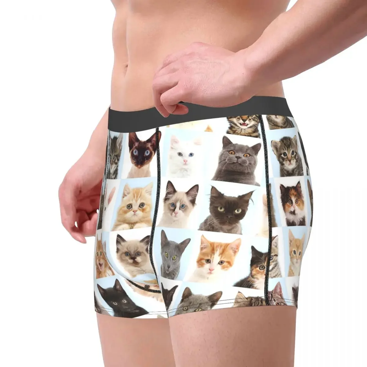 Cats Or Chess Underpants Breathbale Panties Male Underwear Print Shorts Boxer Briefs