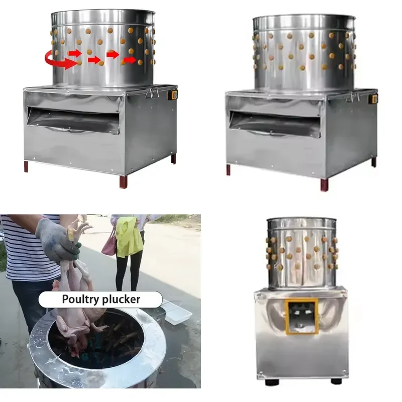 Máquina Desplumadora de Aves de Corral 2026, Apta para Codornices, Equipo de Sacrificio de Aves, Desplumadora de Plumas de Pollo SD80