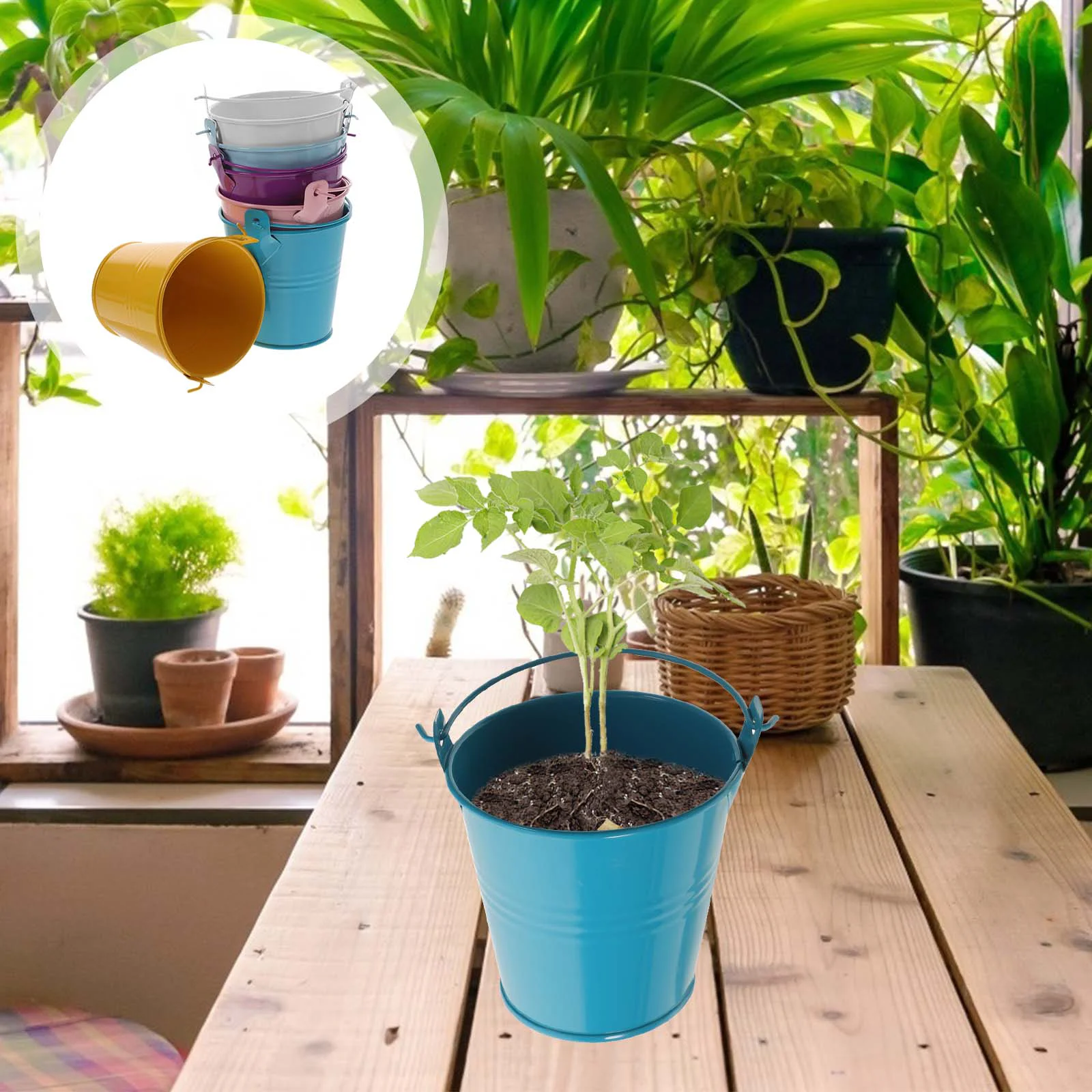 6 Pcs Basket Mini Bucket Child Trash Bin Popcorn Tinplate Candy Buffet Containers Buckets