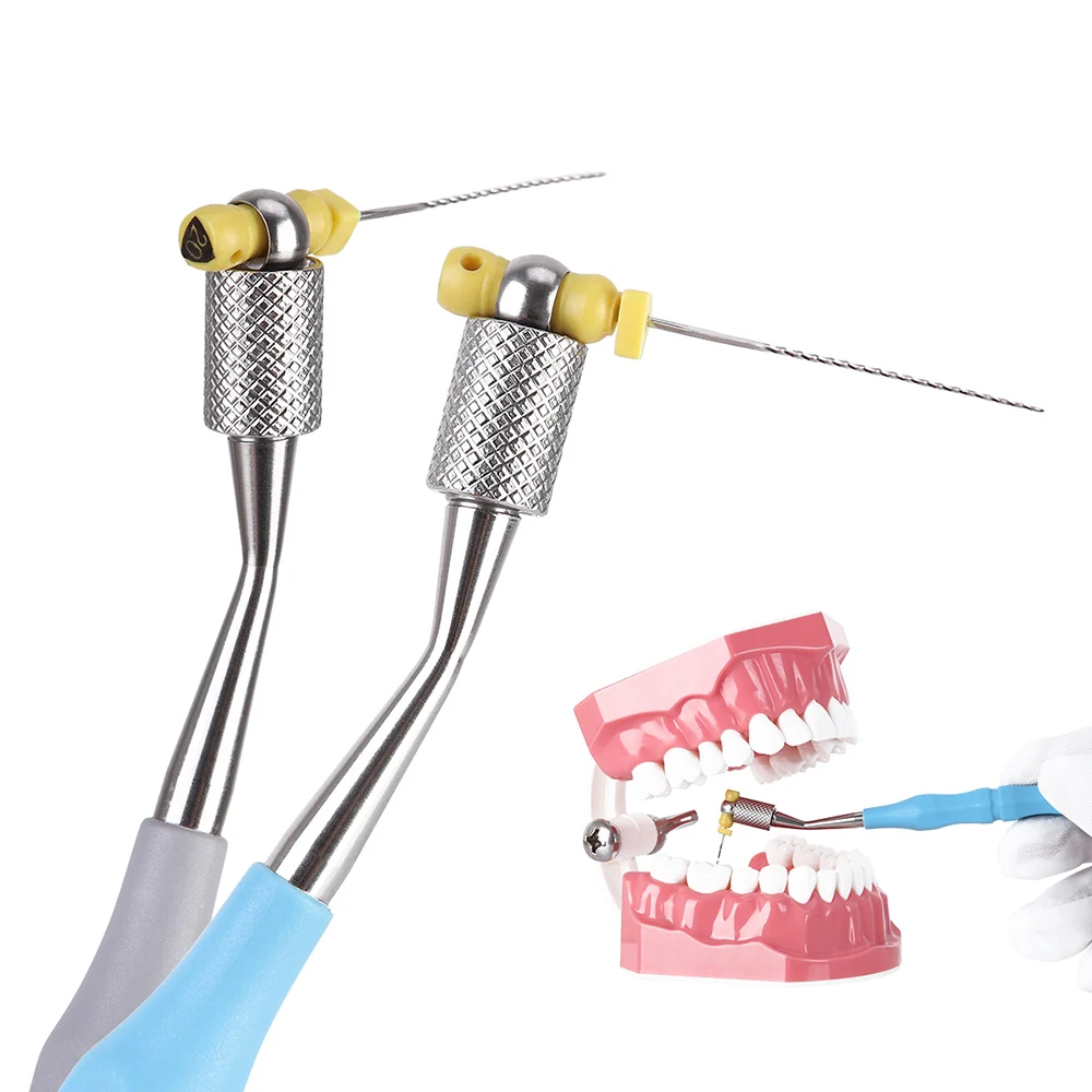 Dental Endodontic File Holder Root Canal File Flexible Operation 134℃ Autoclaved