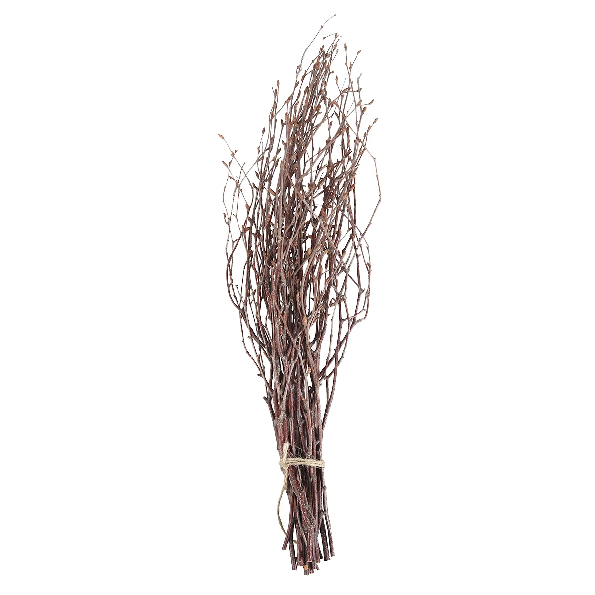 

10 Pcs Rustic Event Decoration Paint Birch Branches Home Rural Vase Household Ornament Log Natural-Looking Wooden Sticks