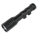 BK long Spotlight