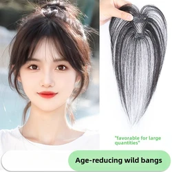 Size 4x6 Natural Human Hair Clip In Bangs Invisible Edge Replacement Fringe Forehead Hairline French Bangs For Women Daily Wear