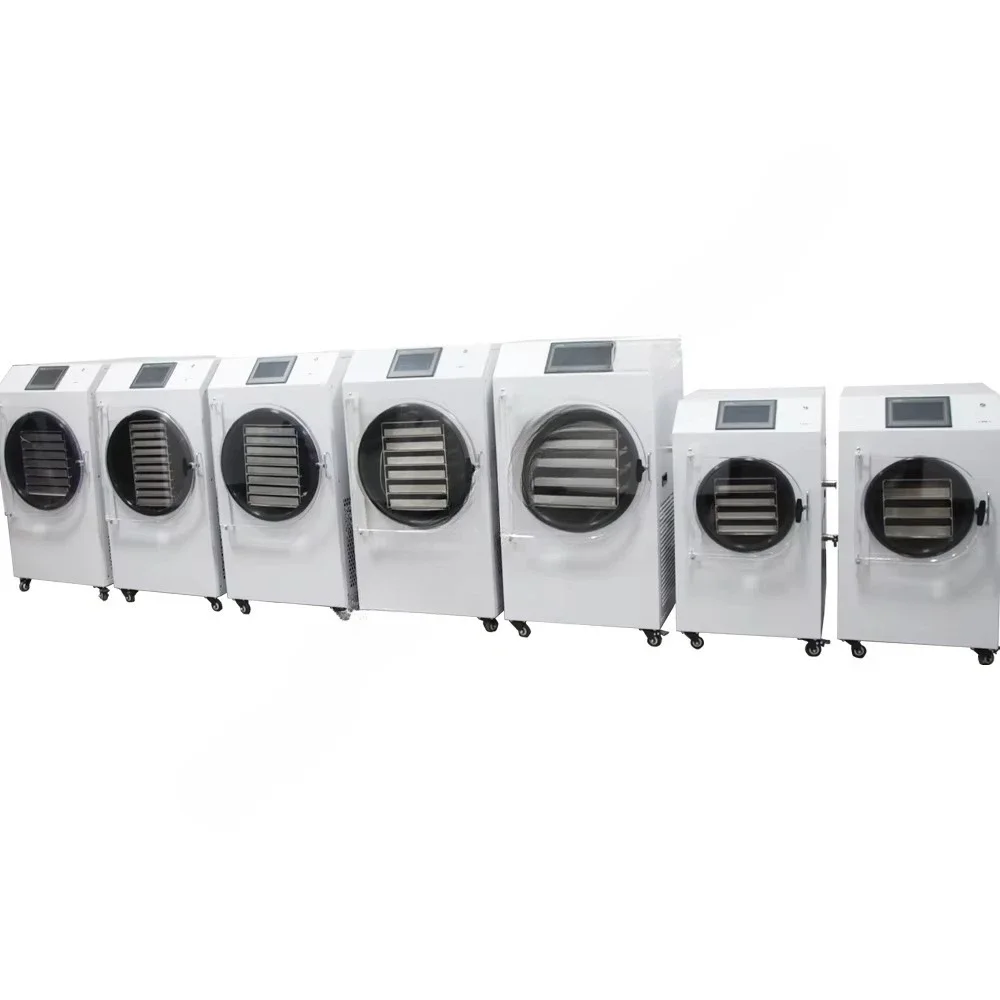 8 Trays Freeze Dryer Freeze Dryer Mini Freeze Dryer for Home/lab 5