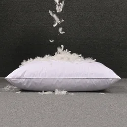 Down Pillow 100% White Goose Down/Feather Pillow Five-star Hotel Goose Feather Pillows Single Healthy Pillow Orthopedic Pillows