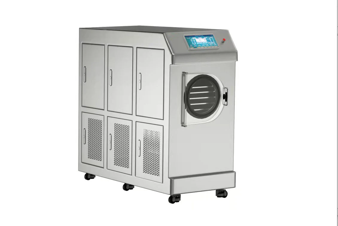 Vacuum freeze-drying equipment for household fruits and vegetables