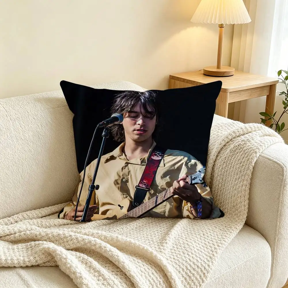 Singer A-Alex G  Square Double-Sided printed Pillow Case Bedroom Bedside Pillow Sofa Cushion Cover