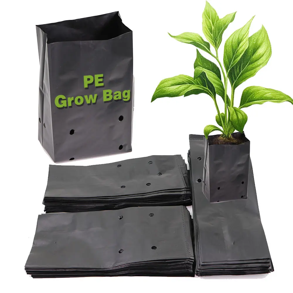 30-10pcs Black PE Punched Seedling Bag Tree Transplant Potting Bag Lightweight Anti-pull Gardening Orchard Breathable Plant Bag