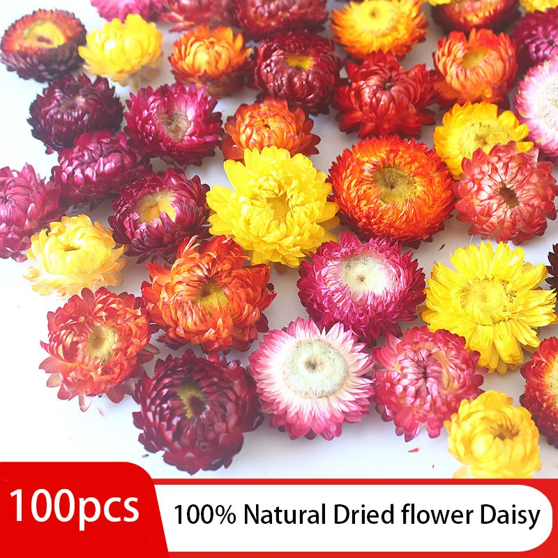 100pcs Natural Dried Flower Daisy Heads DIY Making Candle Epoxy Resin Mold Pendant Jewelry Crafts Decorative Home Wedding Decor