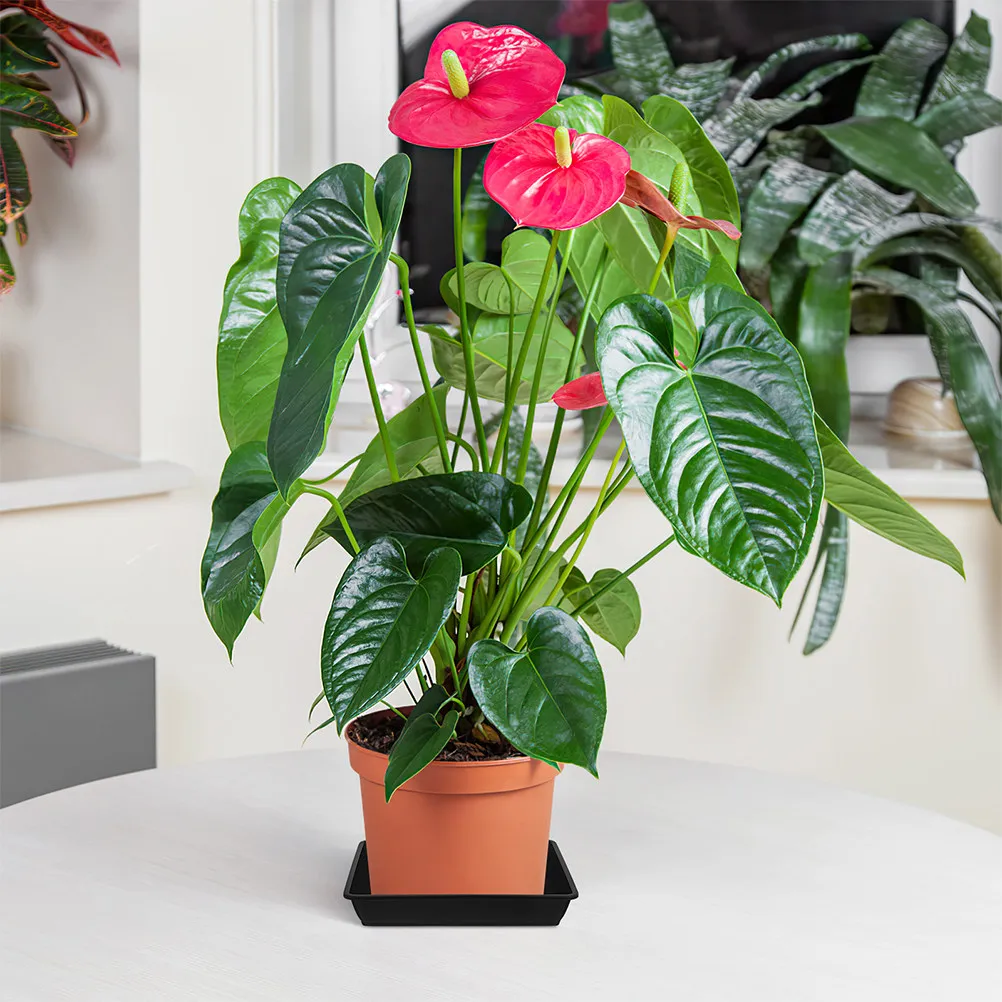 10Pcs Leak Proof Plastic Plant Saucer Rectangle Flower Pot Tray for Indoor Plants Outdoor Pots Water Catcher Saucers for Potted