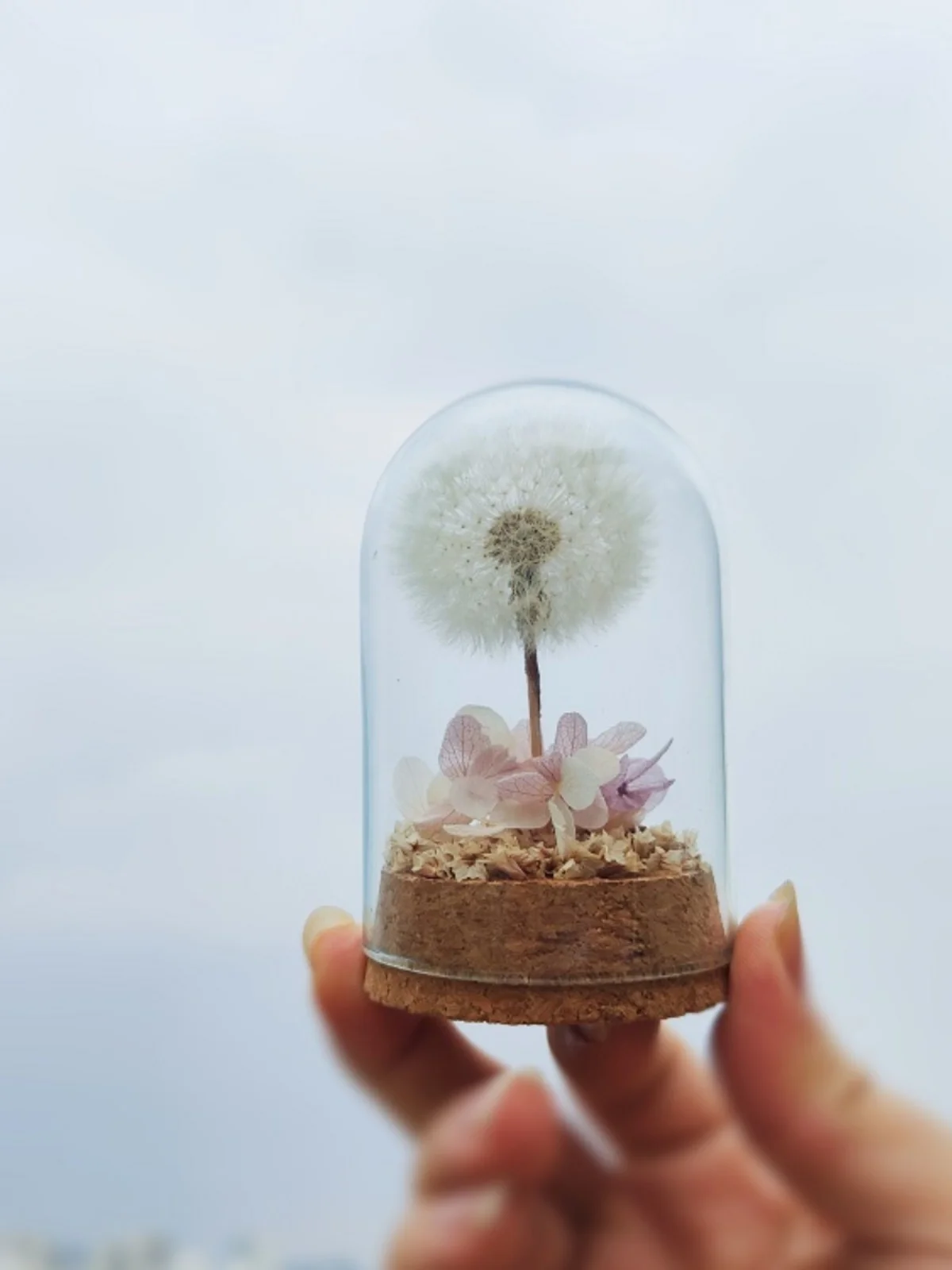 

Стеклянный купол ручной работы Danon Daisy: Вечный цветок, креативный подарок на День рождения, современный простой декоративный элемент