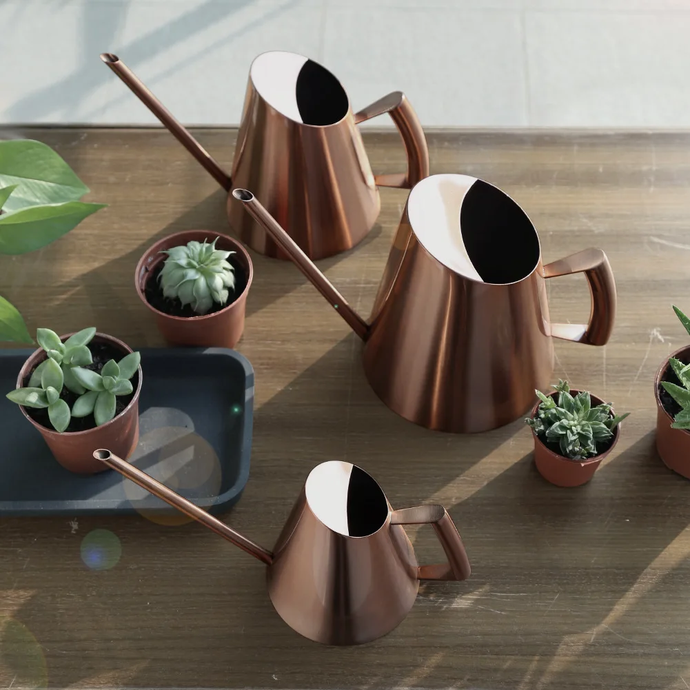 Nordic Rose Gold Watering Can Stainless Steel Plant Waterer for Succulents Flowers, Modern Slim-Spout Garden Tool with Handle